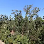 Treetops Lisbon Apartment