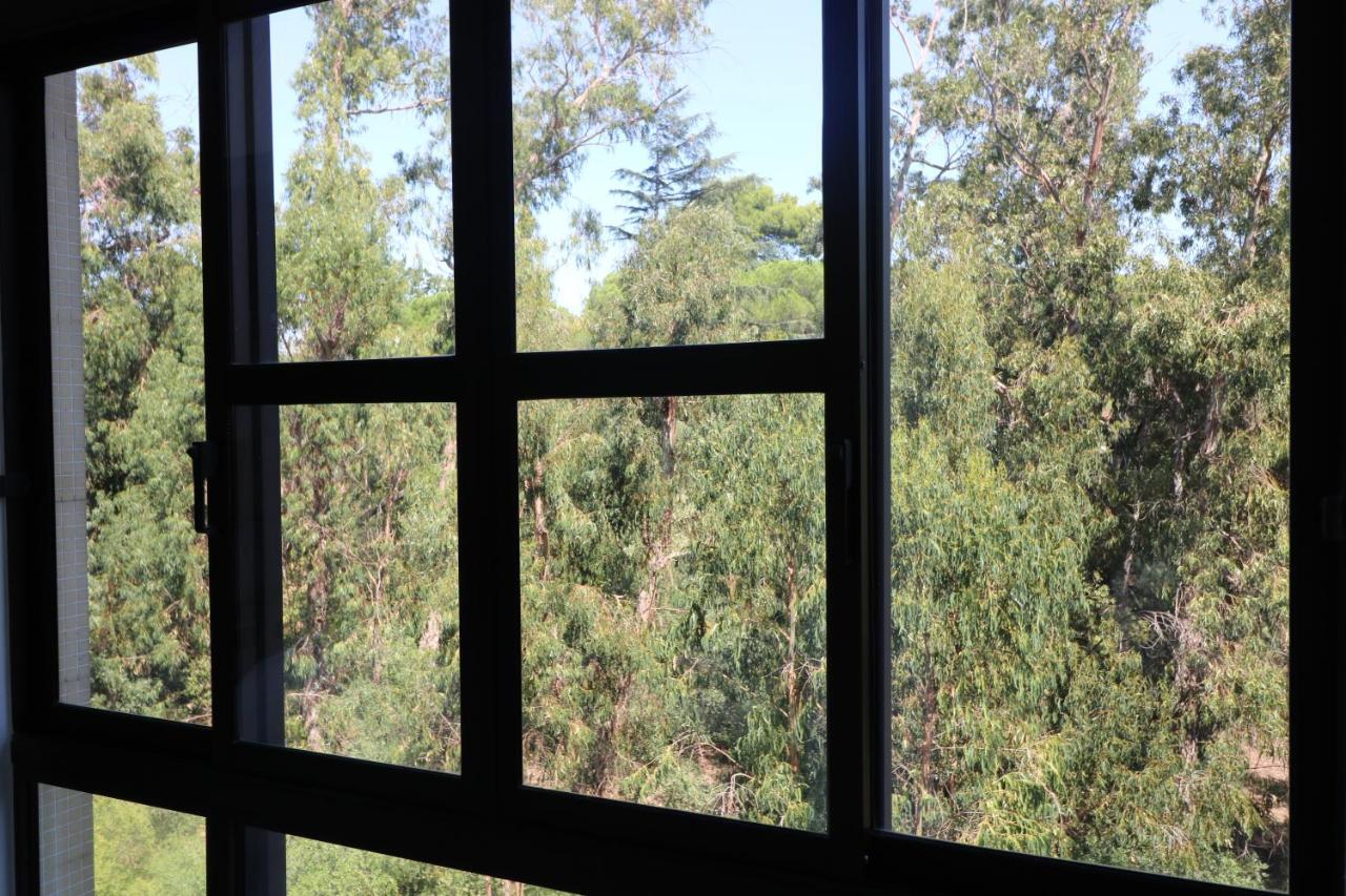 Treetops Appartement