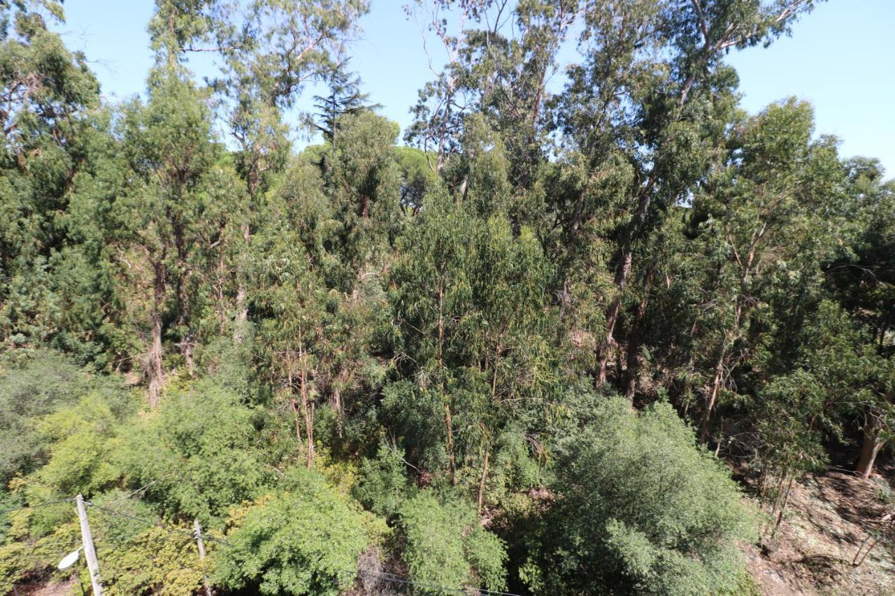 Appartement Treetops *